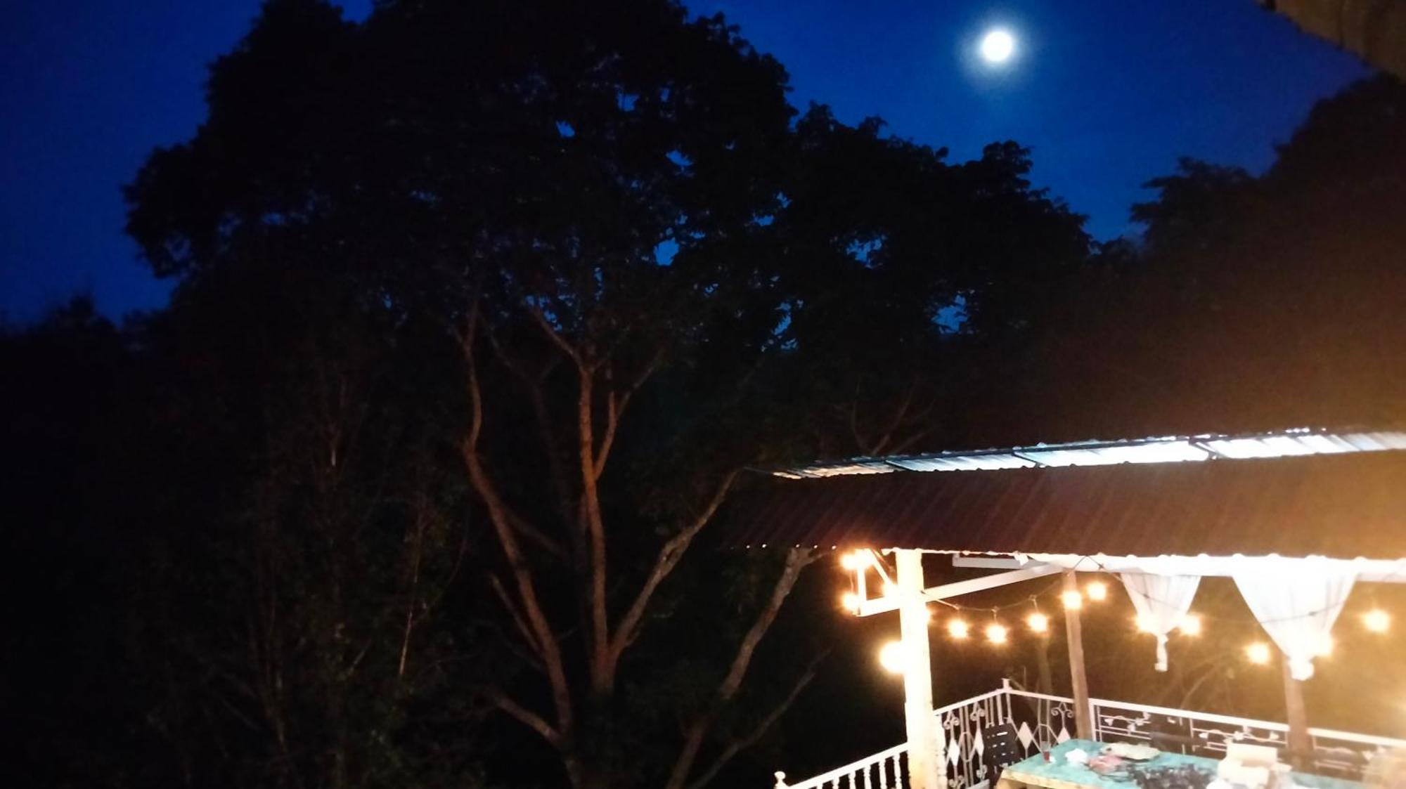 Balmy Hideout Cafe & Homestay Ban Huai Kaeo Экстерьер фото