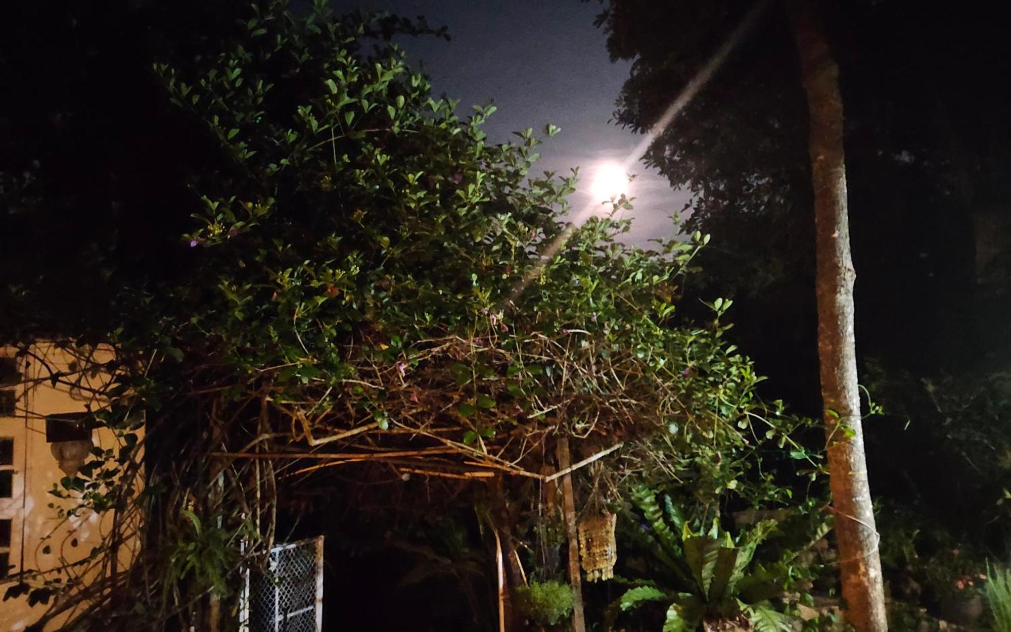 Balmy Hideout Cafe & Homestay Ban Huai Kaeo Экстерьер фото