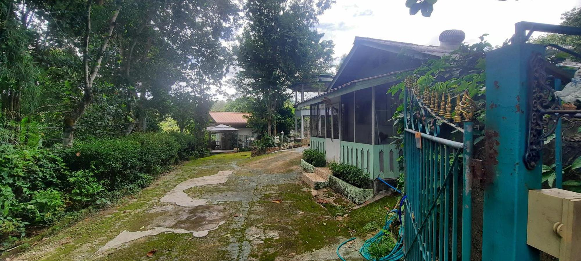 Balmy Hideout Cafe & Homestay Ban Huai Kaeo Экстерьер фото