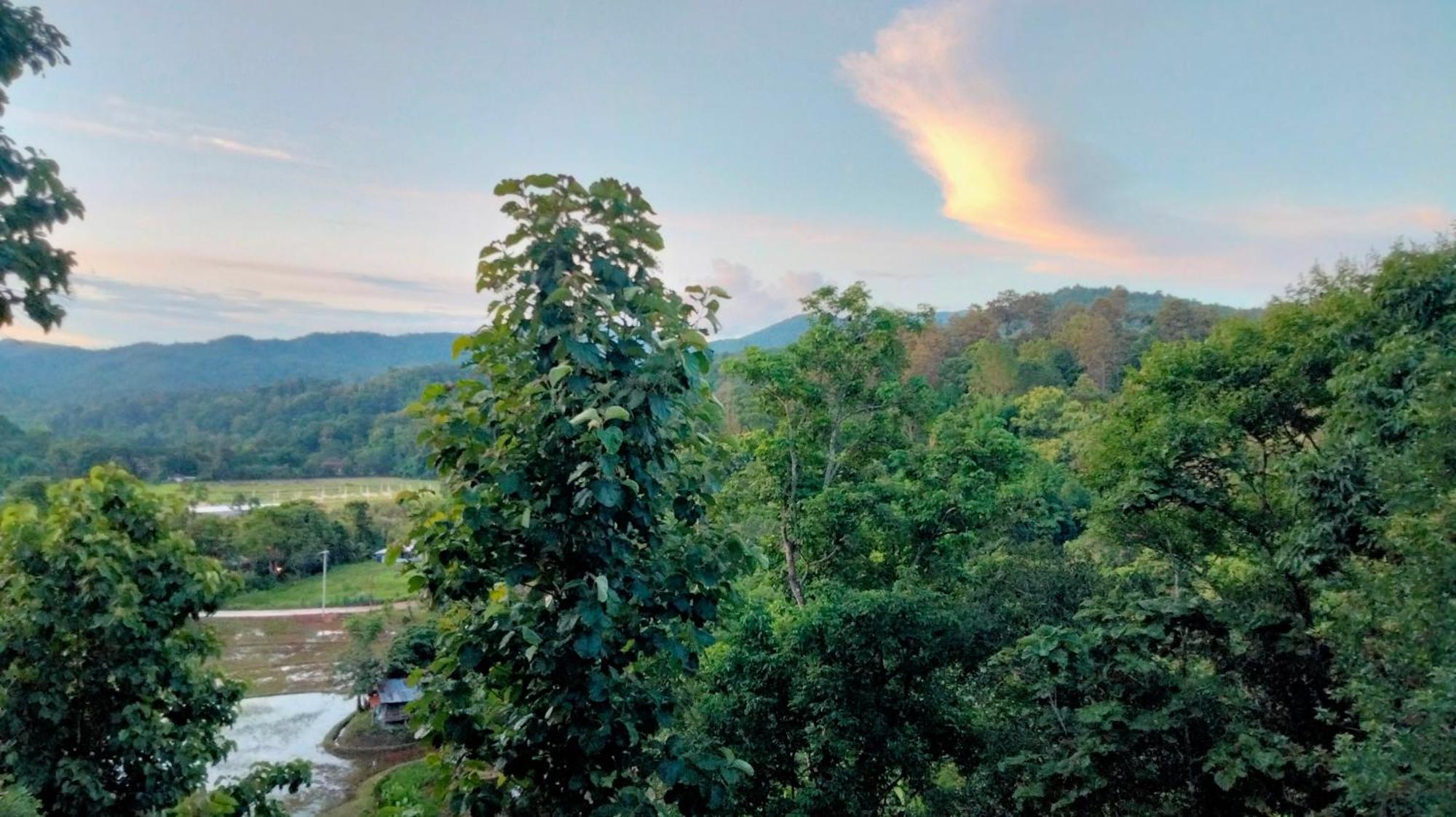Balmy Hideout Cafe & Homestay Ban Huai Kaeo Экстерьер фото