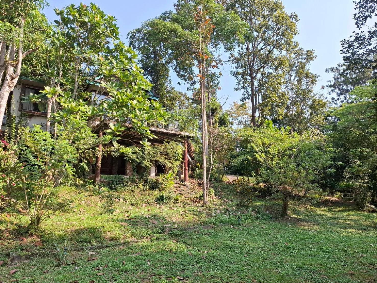 Balmy Hideout Cafe & Homestay Ban Huai Kaeo Экстерьер фото